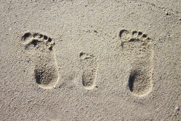 Three family footprints in sand