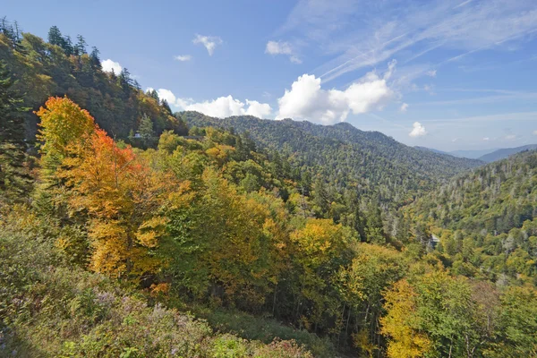 Early fall in Great Smoky Mountains National Park