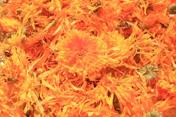 Dry flowers of a calendula