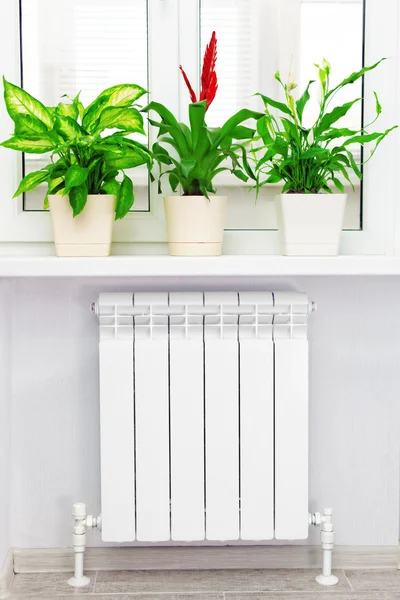 Heating white radiator with flower and window.