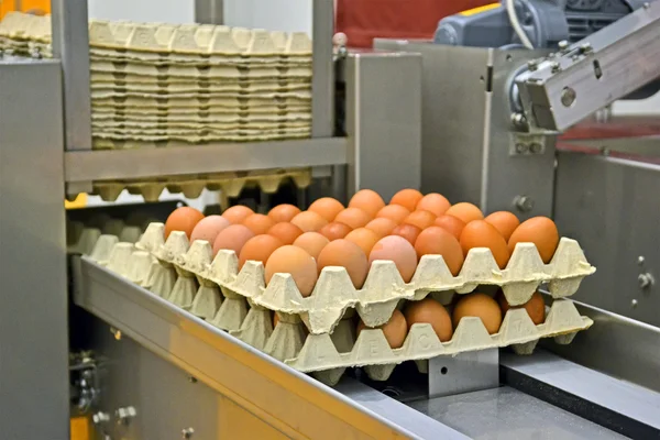 Yellow eggs in cardboard container, industrial processing.