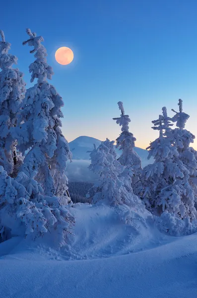 Full moon in winter
