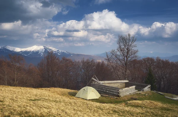 Camping in the mountains in spring