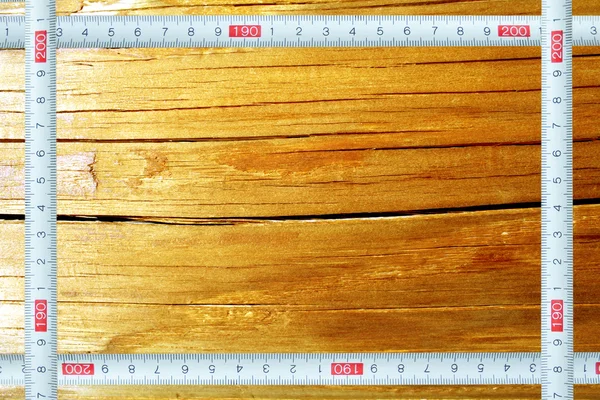 Frame a measuring ruler against texture of a tree