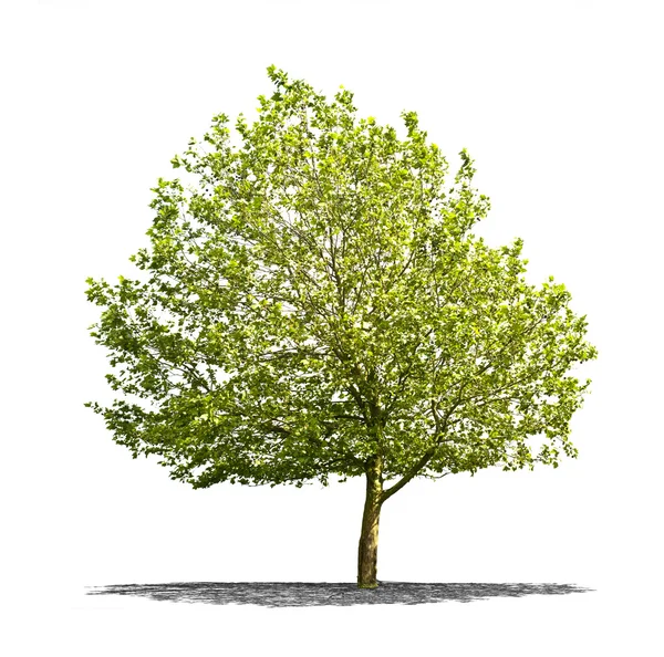 Live Chat Nos formules  tarifs Photos Vecteurs Ã‰ditoriaux VidÃ©os