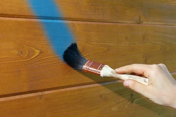 The hand with the brush draws a blue line on a wooden wall