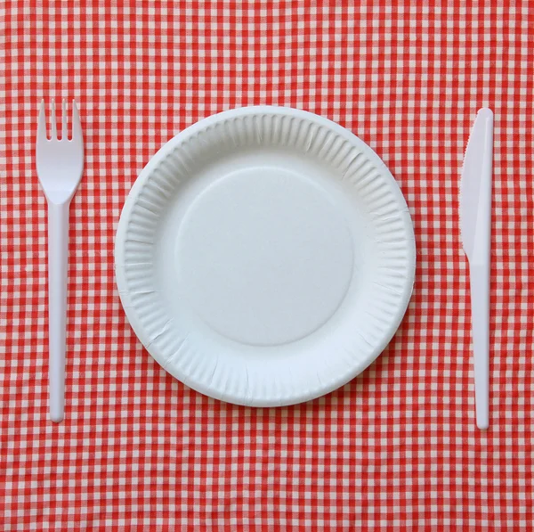 Disposable paper plate.