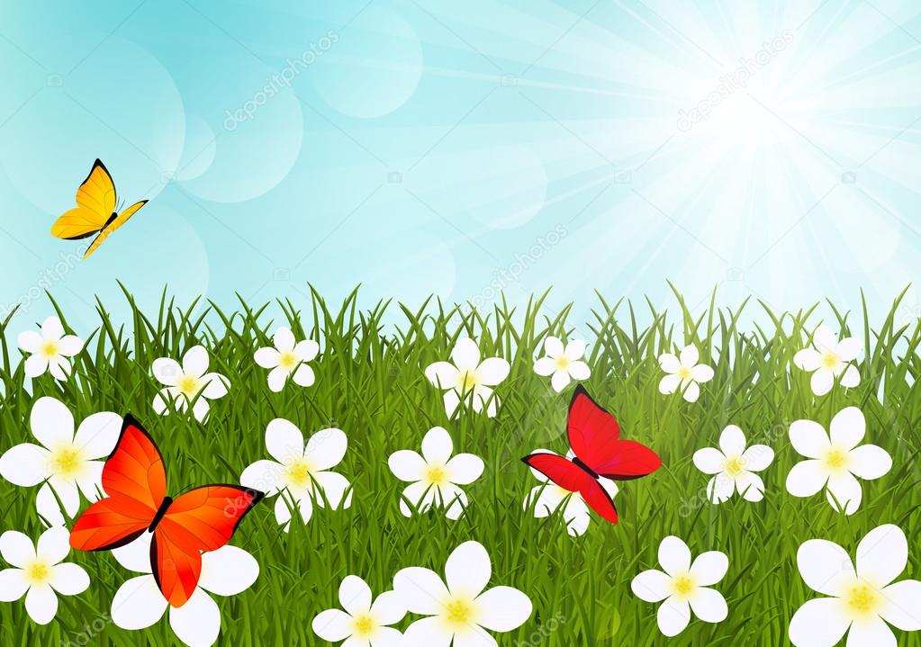 I Fiori Da Piantare Per Attirare Api E Farfalle - Donna Moderna - Foto 11