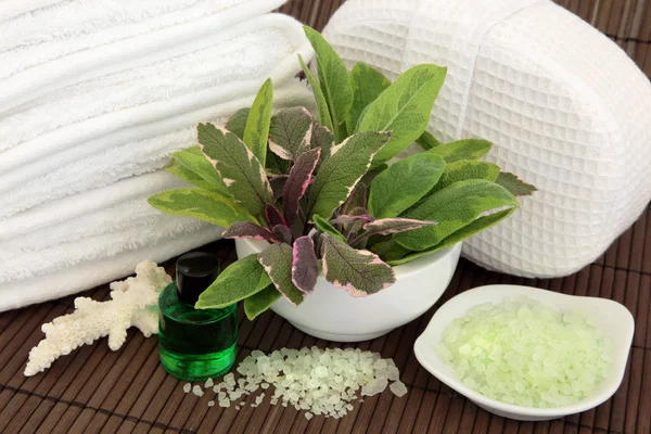 Herb Spa Therapy