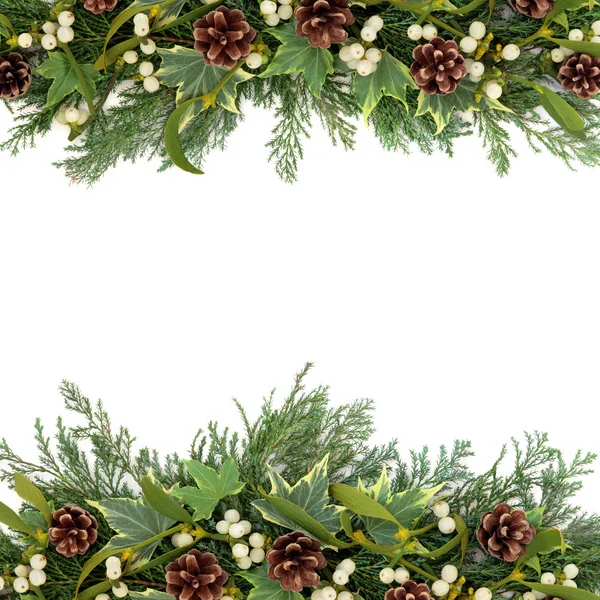 Christmas Greenery Border — Stock Photo © marilyna #30469315