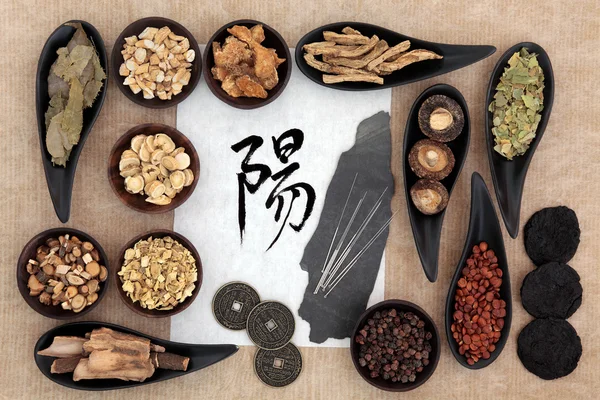 Chinese Herbal Medicine