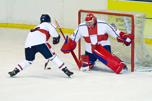 Hockey player