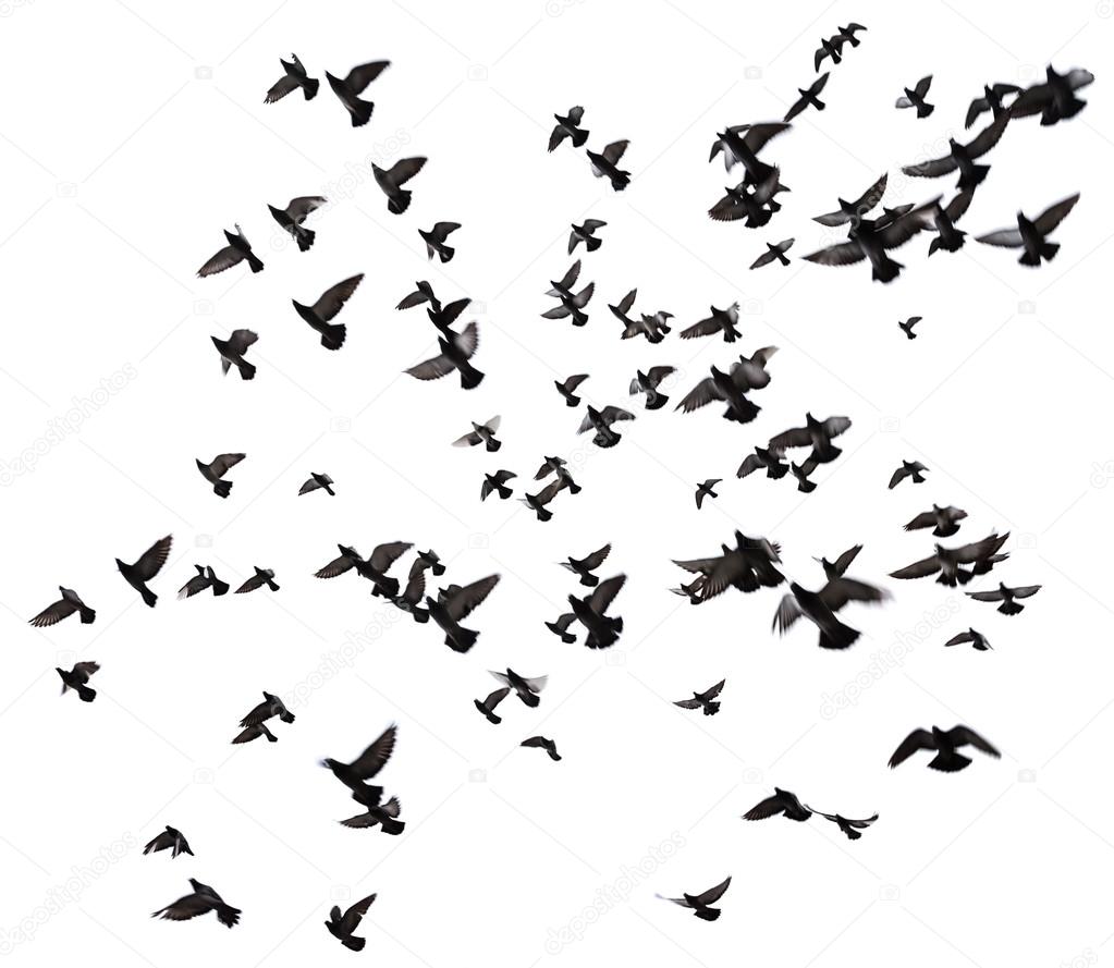 Flight Flying High No More Part Time Lovin Flight Flying High No More Part Time Lovin