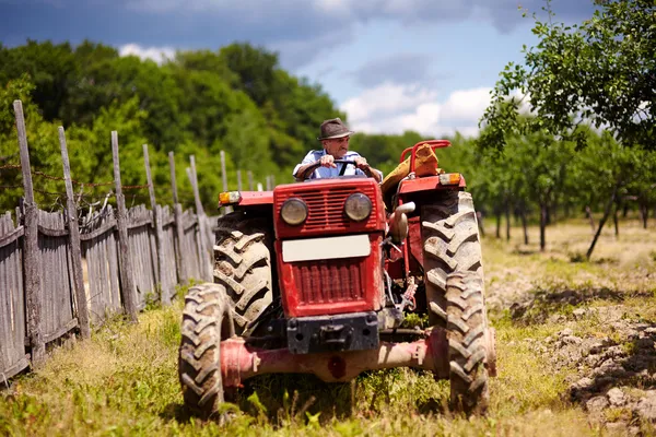 Old farmer driving his tractor