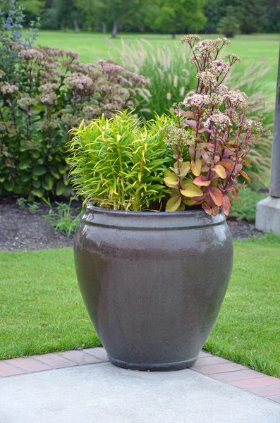 Summer planter on patio