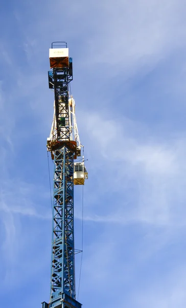 Blue Crane Against Sky