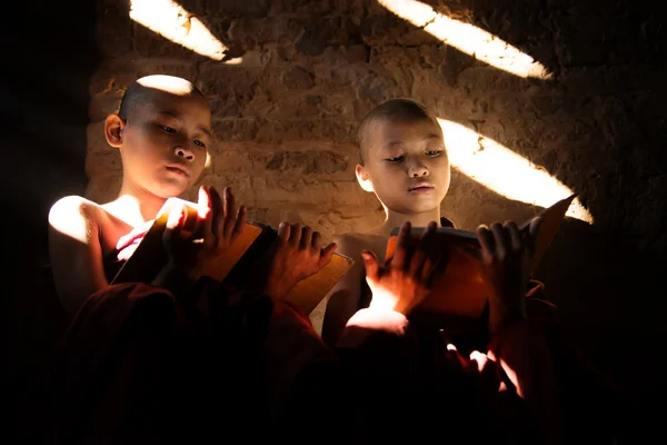 Two Southeast Asian little monks reading book