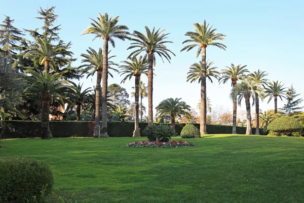 Mediterranean garden