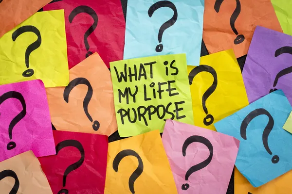 Life meaning concept and purpose