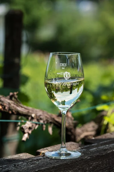 White wine glass on wooden table against vineyard in summer