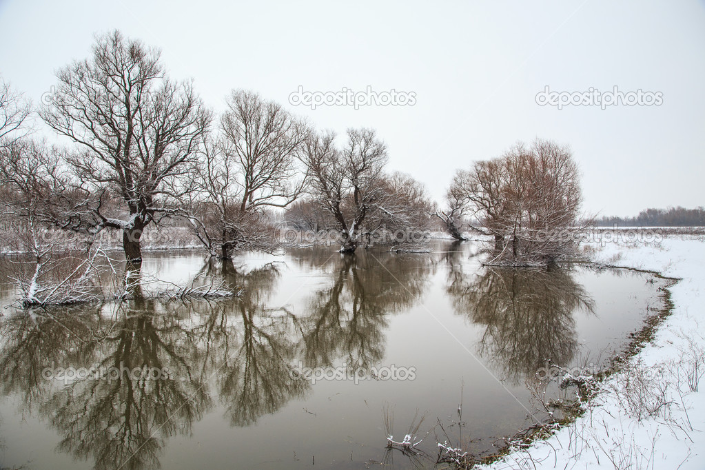 Winter landscape river Zagyva in Hungary — Stock Photo © kavita 21139977