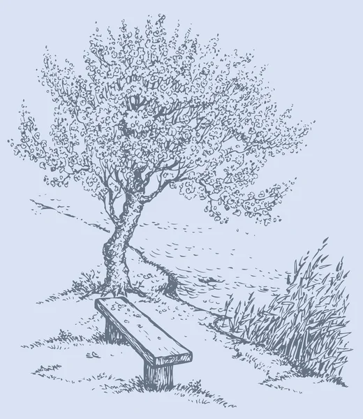 Vector landscape. Old bench by the river under tree