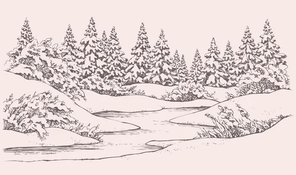 Vector winter landscape. Forest firs near frozen river