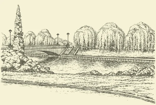 Vector landscape. Park trees at the river bridge and lanterns