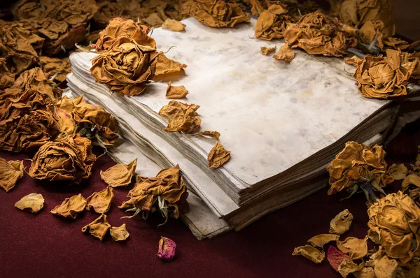 Background in retro style. Dry roses scattered on old book