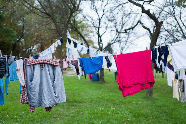Laundry drying on the clothesline