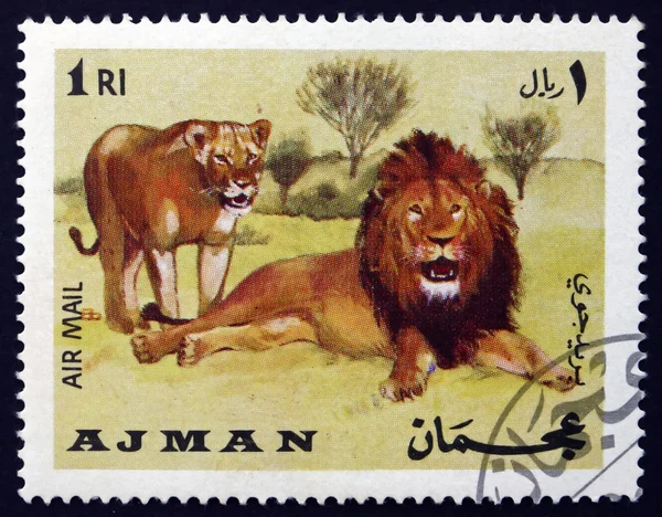 Postage stamp Ajman 1969 African Lion, Panthera Leo, Animal