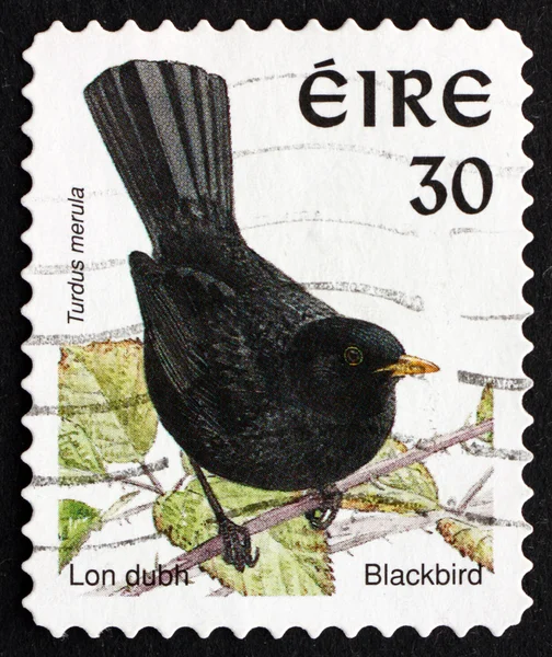 Postage stamp Ireland 1998 Common Blackbird, Bird