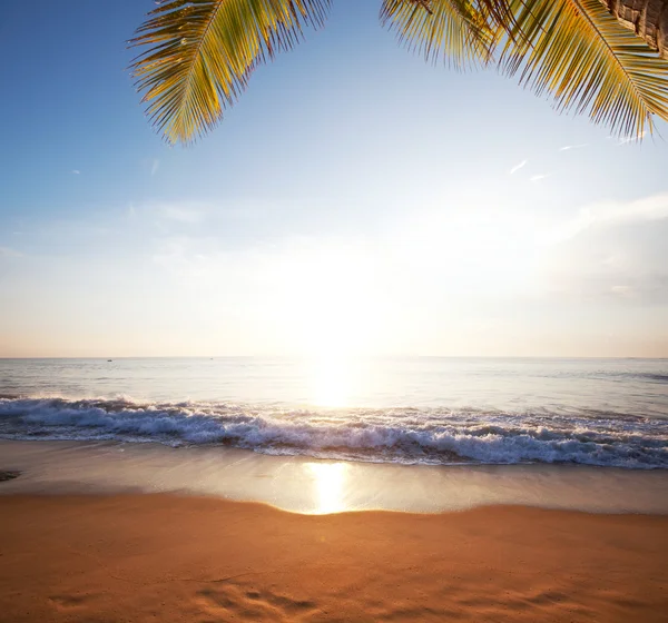 Deserted beach