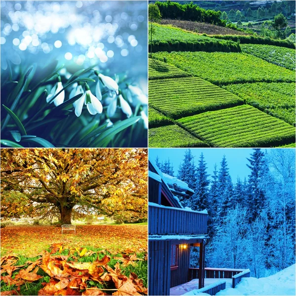 Seasons collage