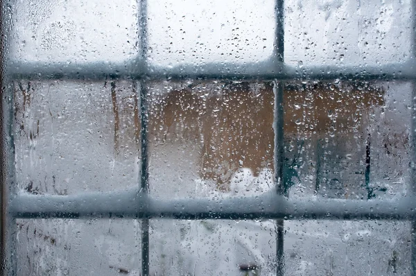 Winter window — Stock Photo #17436839