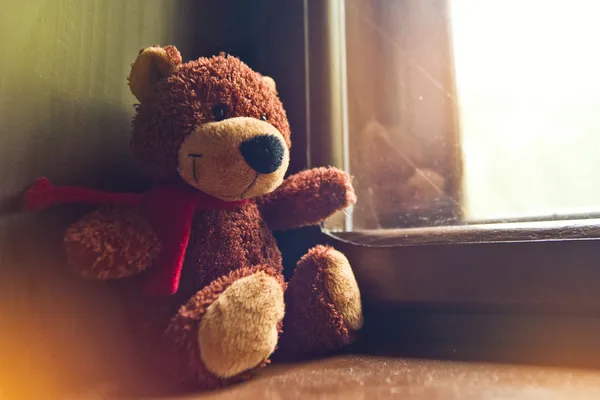 Teddy bear by the window