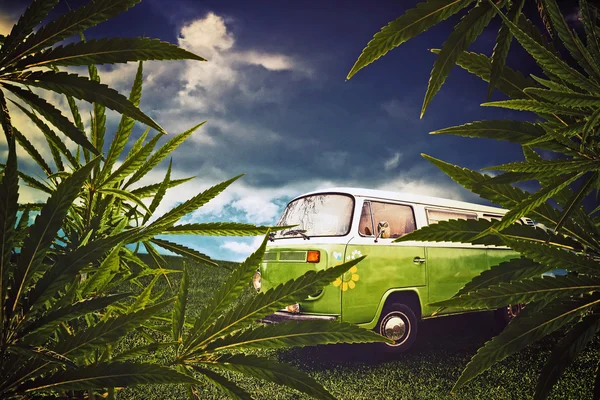 Hippie van and marijuana leaves