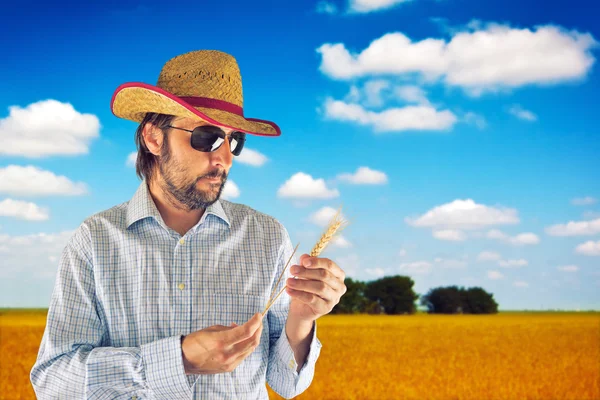 Farmer with cowboy straw hat in wheat field