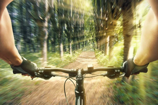 Man riding on a bicycle in forest