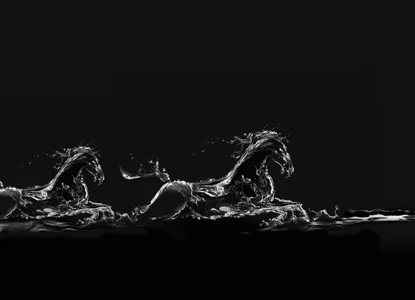 Two Black Water Horses Running