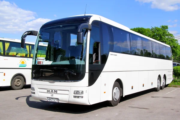 MAN R08 Lion's Top Coach