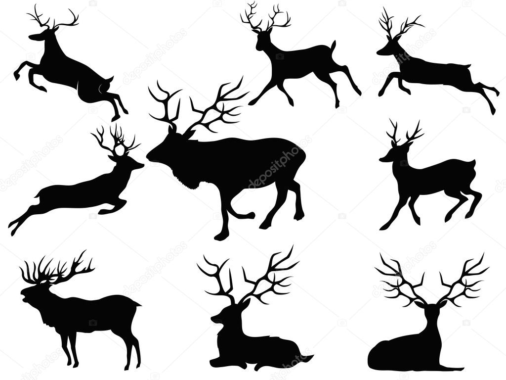 deer hunting thesis statement deer hunting thesis statement