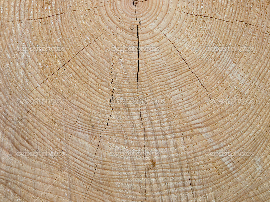 Spruce Wood Planks Id
