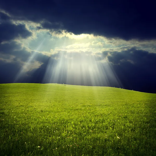 Green field with jesus light