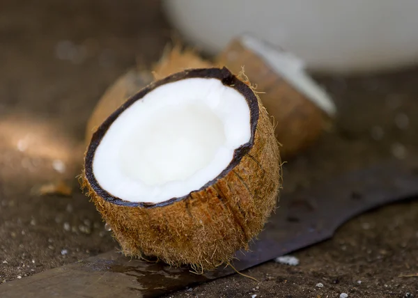 Broken coconut in closeup