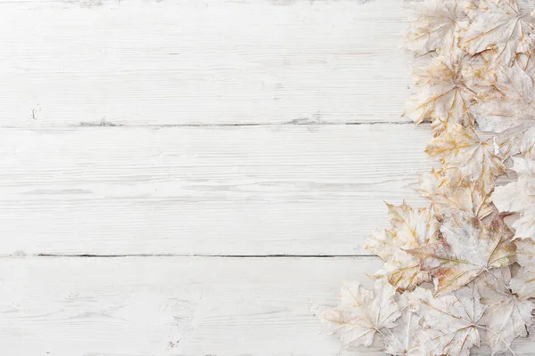 White leaves over wooden grunge background