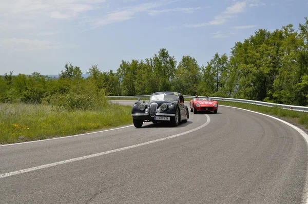 Black Jaguar and red Maserati during 1000 Miglia