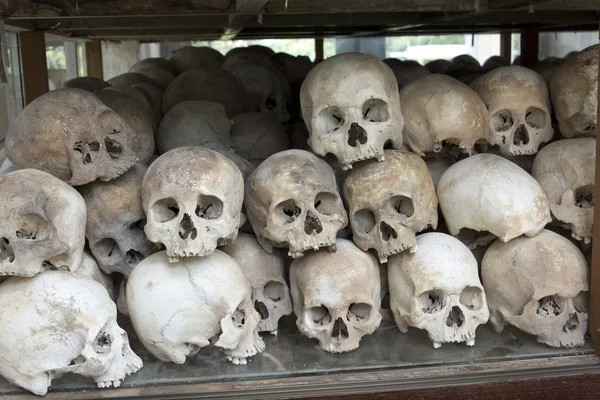 Skulls and bones in Killing field, Cambodia
