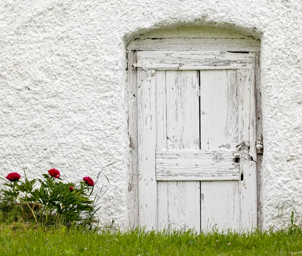 Old white wood door with gardening flowers