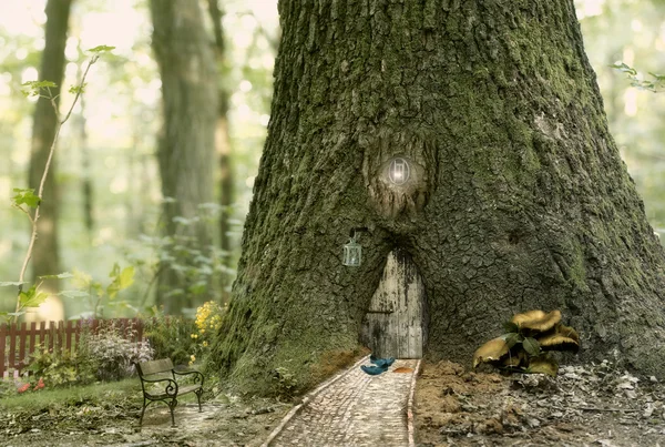 Fairy house in the tree